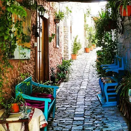 The Alley Holiday House בית נופש